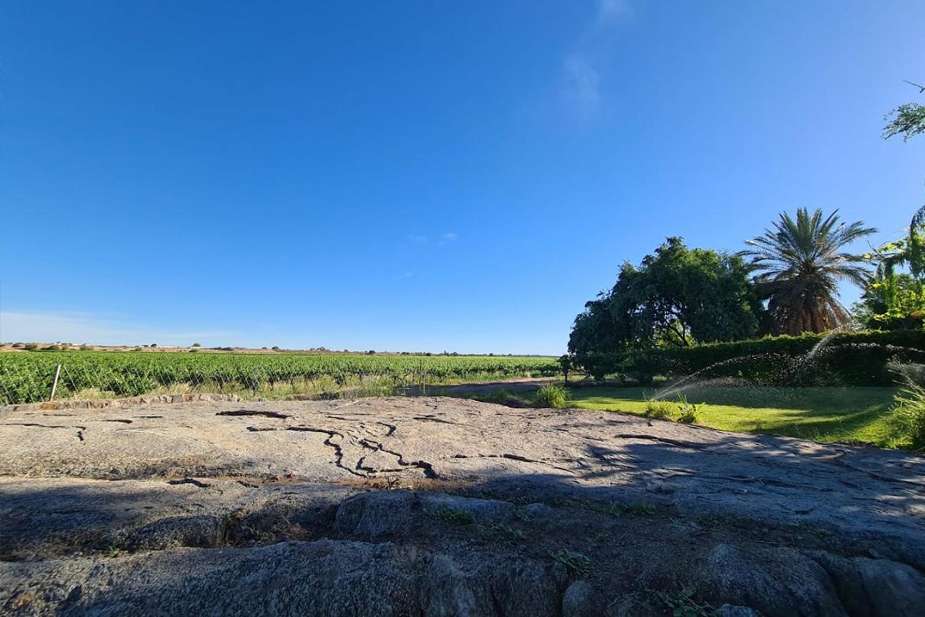 Vila Bezalel Wine & Brandy Estate Kanoneiland Exteriér fotografie